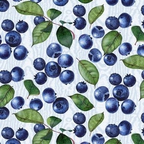 Watercolor Blueberries on Pastel Blue Moire Texture (Large)
