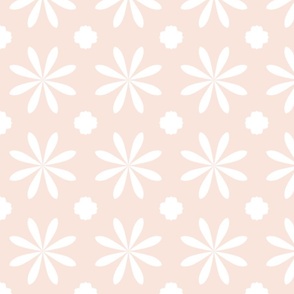 Pink and white daisies