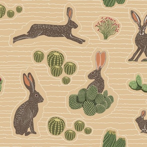Rabbits / Sonoran desert coordinate 9 rabbits