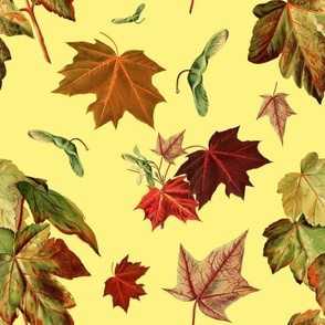 FALLING LEAVES LARGE - AUTUMNAL GARDEN COLLECTION (SUNSHINE)