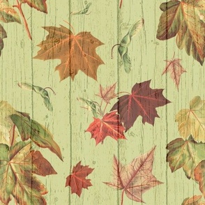 BARN PLANK LEAVES - AUTUMNAL GARDEN COLLECTION (PEA)