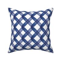 (large scale) checkered blue criss cross