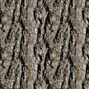 Bark