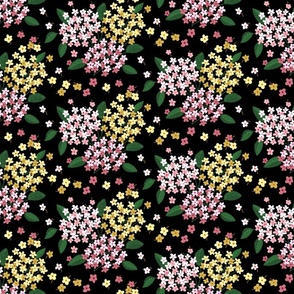 Clusters of multicolor tiny flowers in pink yellow on black