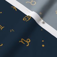 Zodiac Skies Navy and Gold by Norlie Studio