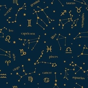 Zodiac Skies Constellations Navy and Gold by Norlie Studio