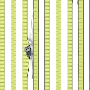 Pop art style yellow and white graphical stripes with quirky cartoon cats peeking around curtains - large size