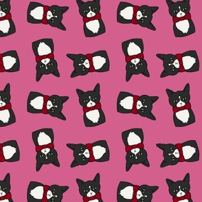 Tuxedo Cat - Pink