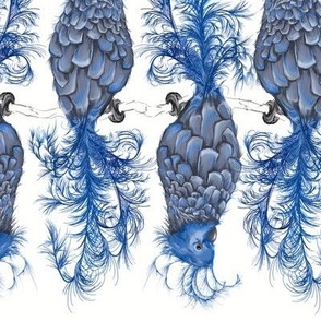 Med. Blue Parrots on a branch