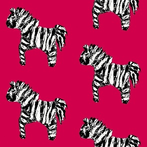 black and white zebra on viva magenta background