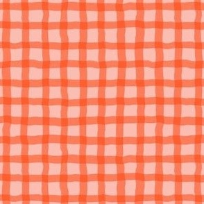 wobbly gingham coordinate for Juicy Pink Strawberries