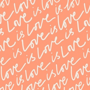 LGBTQIA+ Love is Love on Coral Peach Fuzz