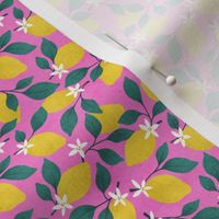 Lemon Blossom on Hot Pink | small