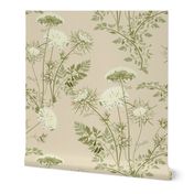 Queen Anne's Lace_Cream