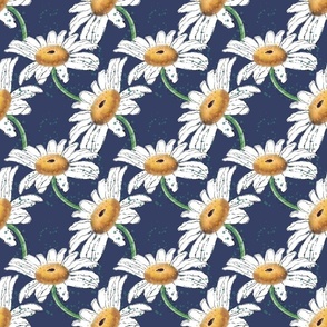 Whimsy Daisies | Navy Background