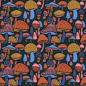 Mushrooms-toadstools-woodland-funghi-autumn-fall
