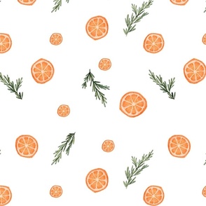 Orange slices and pine and rosemary springs on white. 