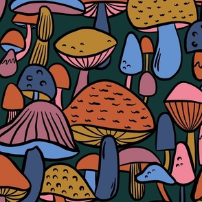 Mushrooms- toadstools-funghi-woodland-autumn-fall