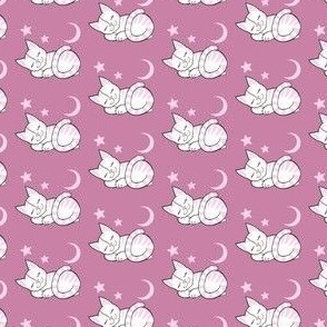 Sleepy tabby kitties on dusky pimk