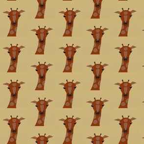 Giraffes for Jack
