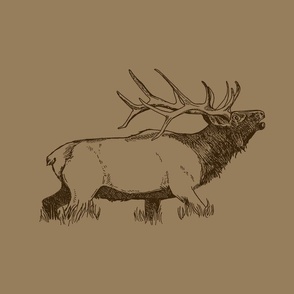 Bull Elk Tan