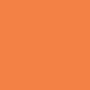 Tangerine Orange Hex f38145 Bright Orange Bold Mood-Boosting Brights Solid Swatch