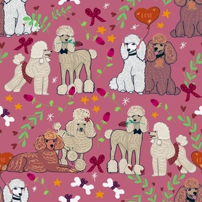 Be my doodle poodle valentine