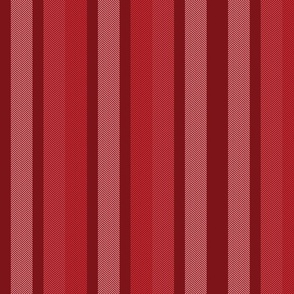 Large Poppy Red Shades Modern Interior Design Stripe