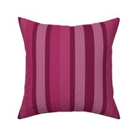 Large Bubble Gum Shades Modern Interior Design Stripe