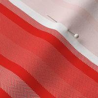 Small Coral Shades Modern Interior Design Stripe