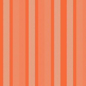 Large Peach Shades Modern Interior Design Stripe