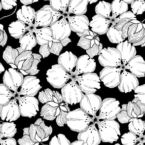 Black and white sakura flowers. Japanese floral. Cherry blossom.