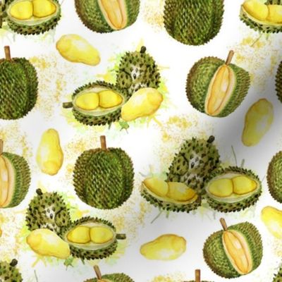 Got Durian? - Small Version