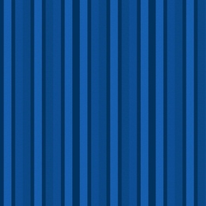 Small Colbalt Shades Modern Interior Design Stripe