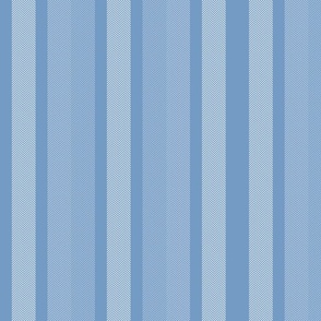 Large Sky Blue Shades Modern Interior Design Stripe