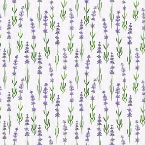 Wild lavender watercolour. Purple watercolour herb plants. Linen cottagecore wildflowers. 
