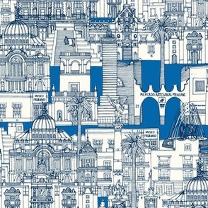 Mexico City toile blue small