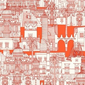 Mexico City toile fire small