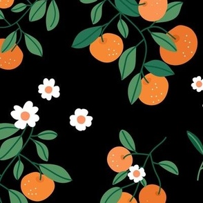 Citrus flower garden - italian oranges and flowers botanical fruit branches green orange on black