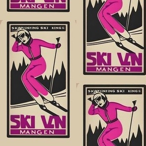 stylish vintage ski lady