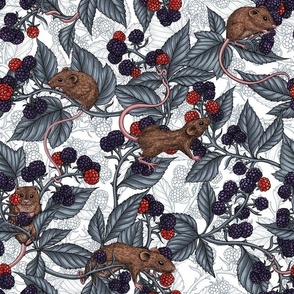 Mice and blackberries on white