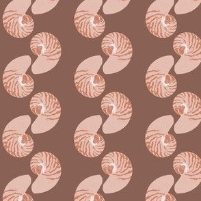 Stripey pink nautilus shells in brown 4.2 x 5.2in