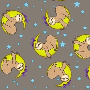 Sleeping Sloths at Dusk