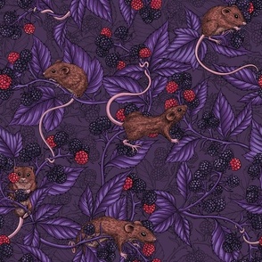 Mice and blackberries on dark violet