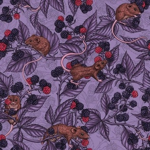 Mice and blackberries on lavender 