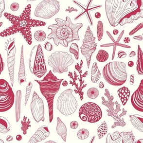 Seashells in Viva Magenta- Color of the Year 2023