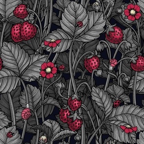 Wild strawberries in Viva Magenta- Color of the Year 2023 and gray