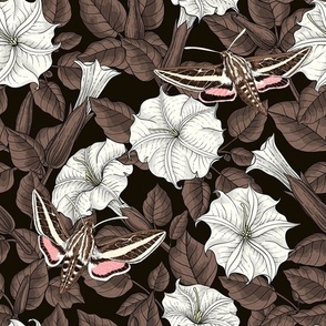 Moonflowers and moths, brown, off white, black