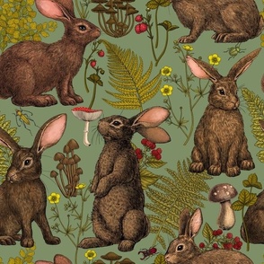 Rabbits and woodland flora on sage