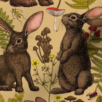 Rabbits and woodland flora on honney